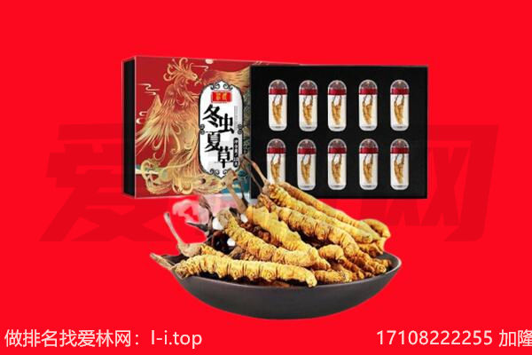莱芜回收虫草.jpg